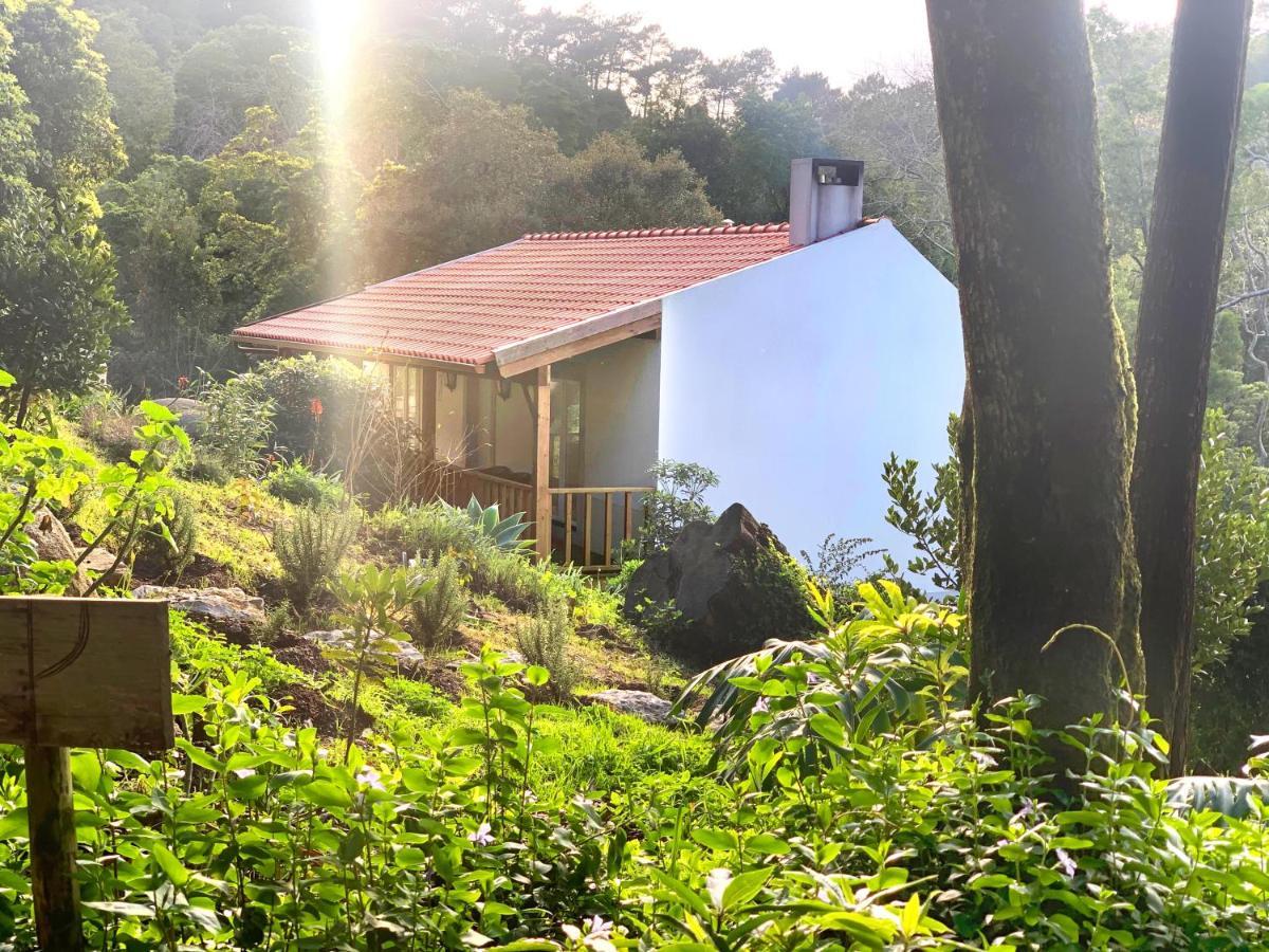 Eighteen21 Houses - Secluded Charm Cottage In Quinta Velha シントラ エクステリア 写真